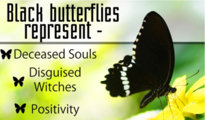 black butterfly meaning