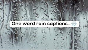 one word caption for rain