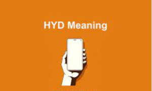 hyd meaning in text