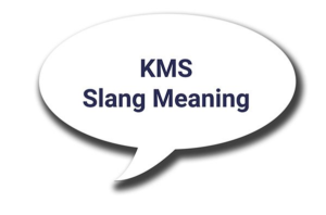 kms meaning