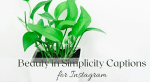 simplicity bio for instagram